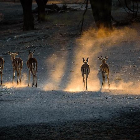 Gabus Safari Lodge Otavi Esterno foto