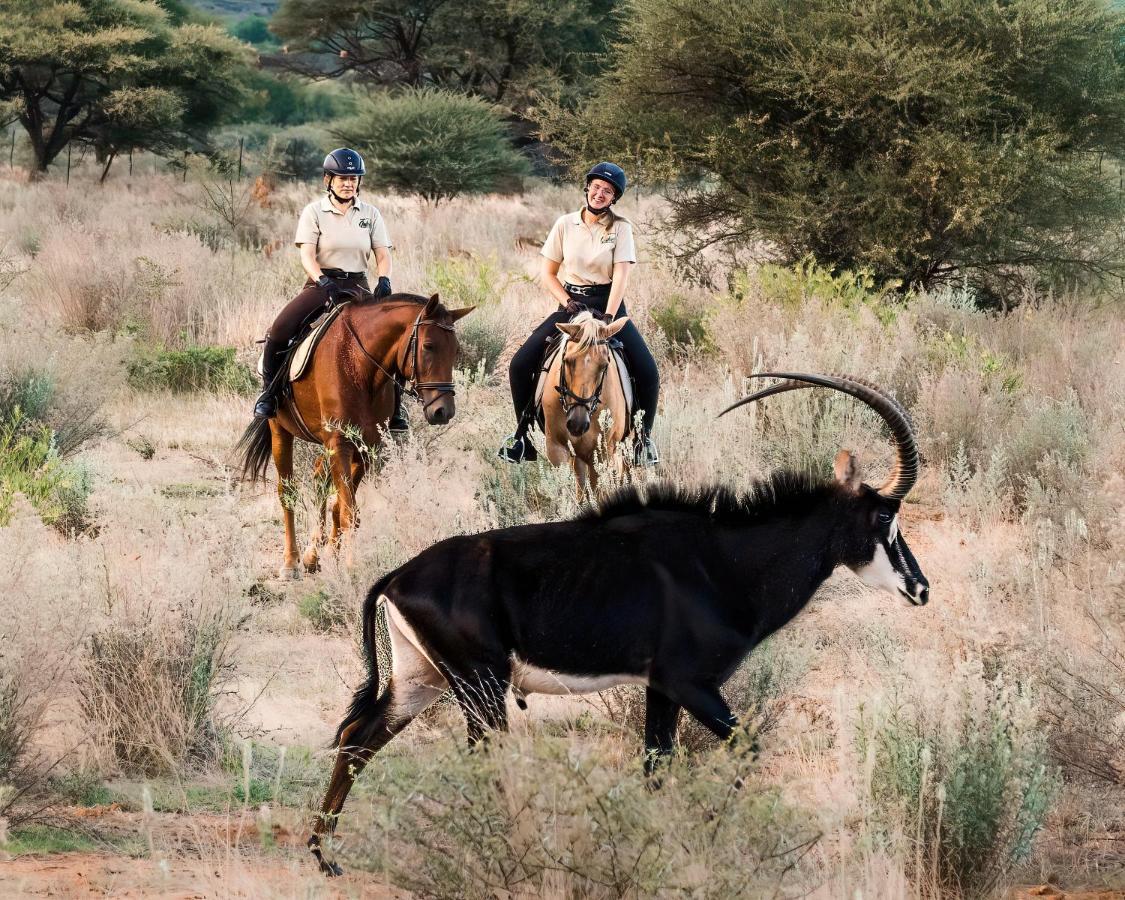 Gabus Safari Lodge Otavi Esterno foto