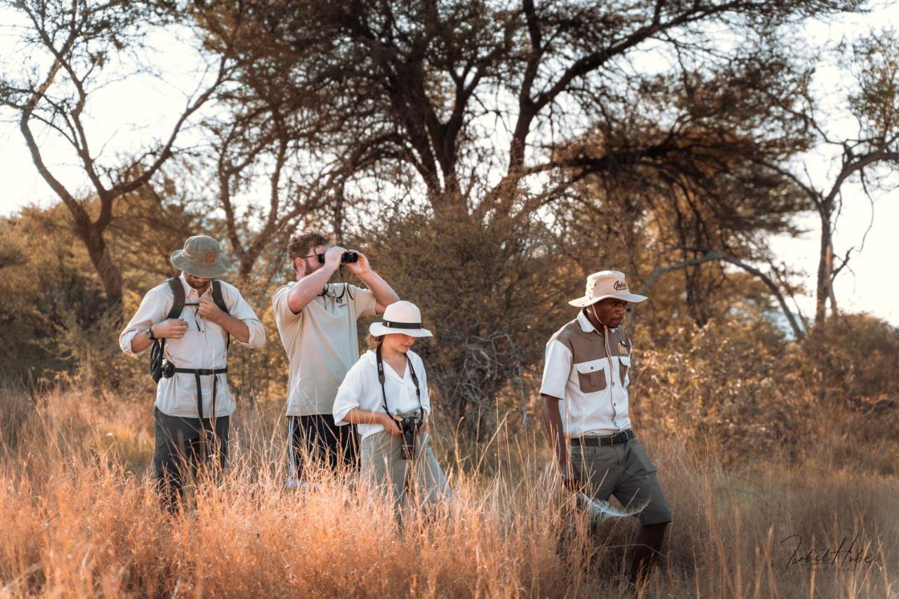 Gabus Safari Lodge Otavi Esterno foto